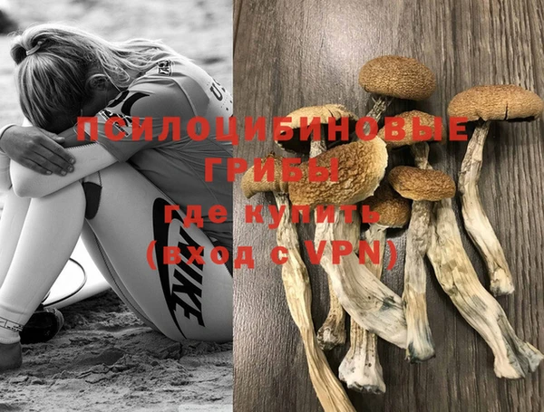 индика Навашино