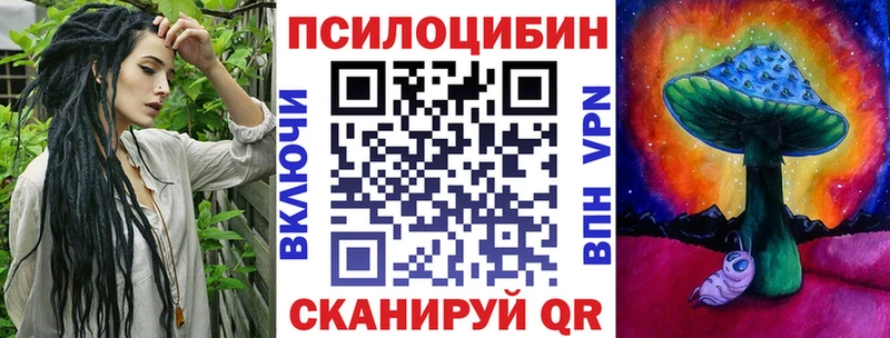 Купить закладки  Железногорск-Илимский  Псилоцибиновые грибы MAGIC MUSHROOMS 